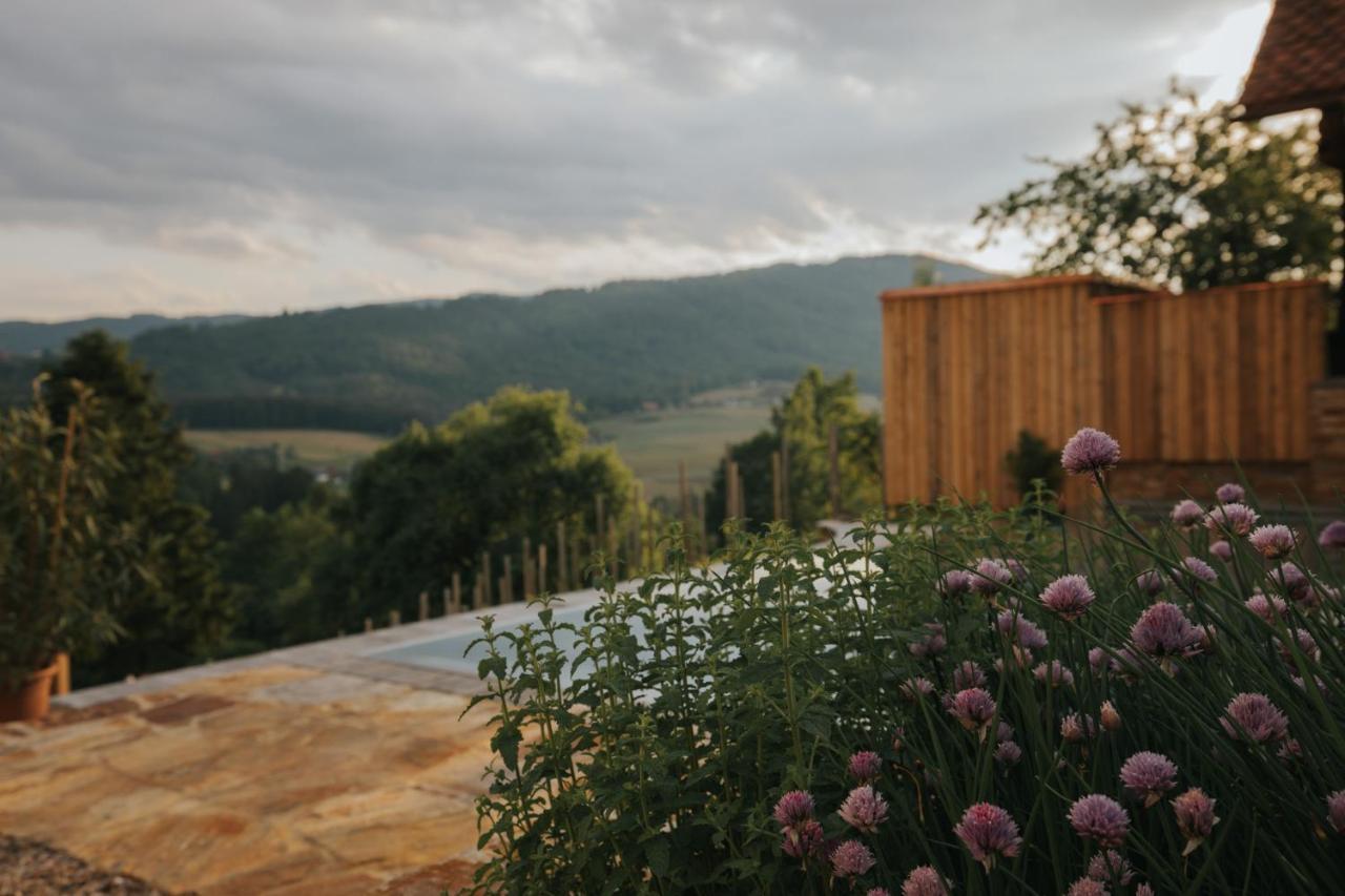 Am Wildbachberg - Luxus Ferienhaeuser Mit Infinitypool, Privatsauna Und Weinkeller Deutschlandsberg Exterior photo