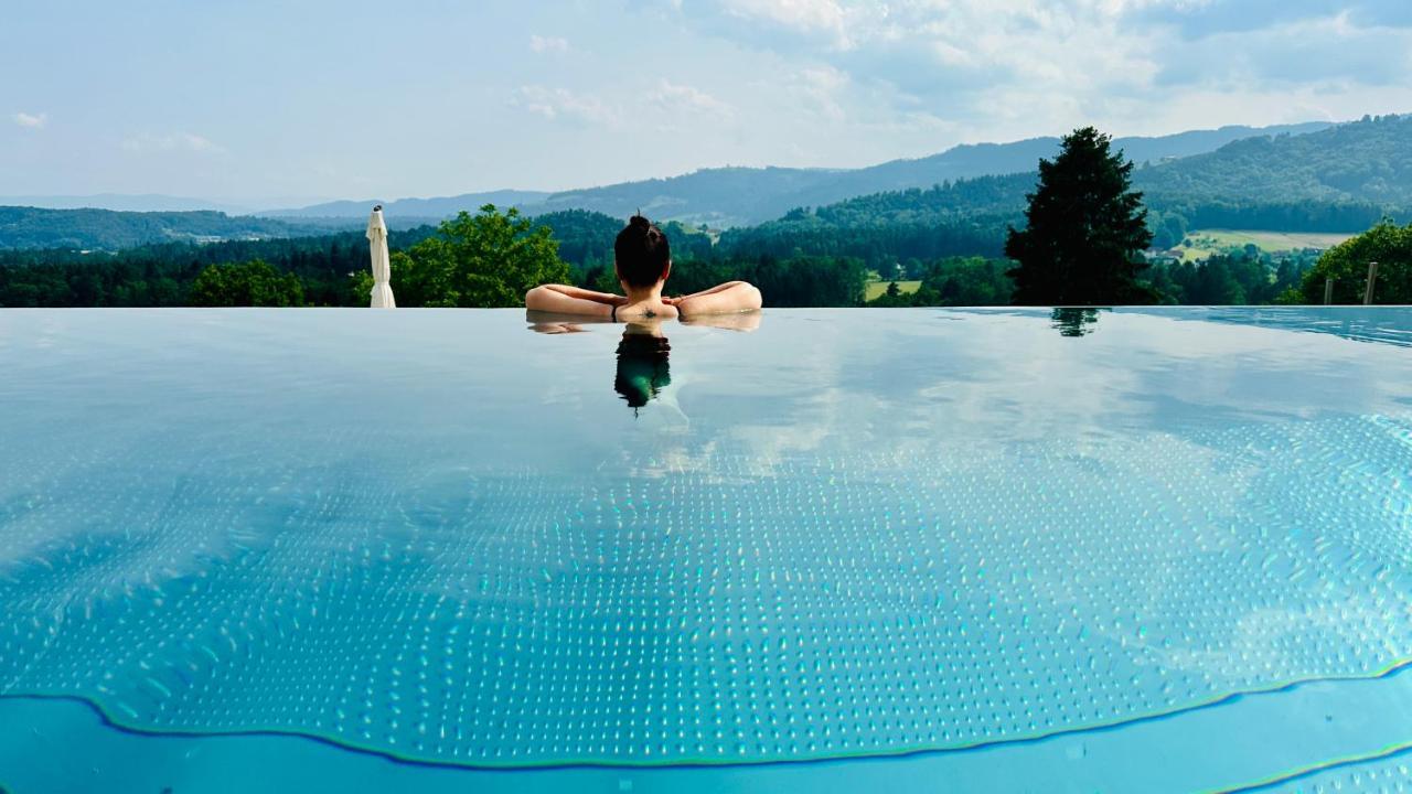Am Wildbachberg - Luxus Ferienhaeuser Mit Infinitypool, Privatsauna Und Weinkeller Deutschlandsberg Exterior photo